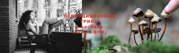 дживик Белокуриха