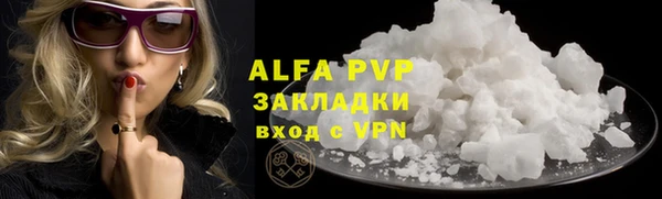 дживик Белокуриха