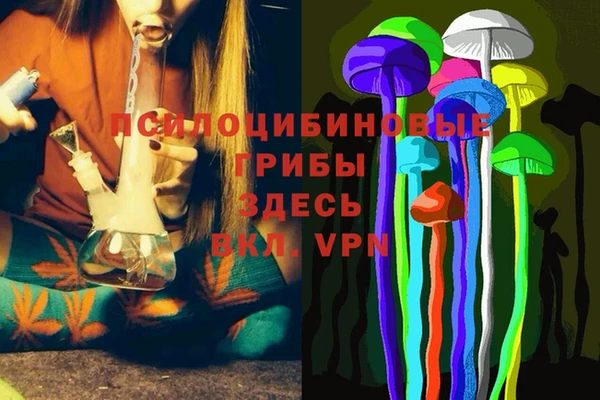дживик Белокуриха