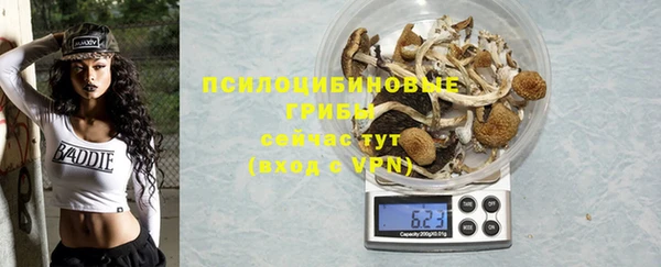 дживик Белокуриха