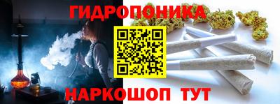 spice Кандалакша
