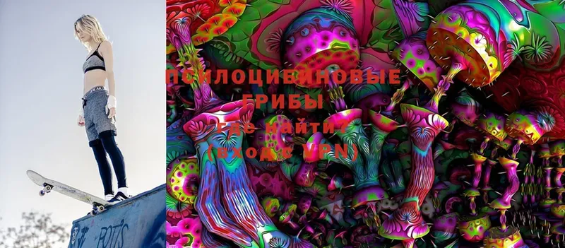 Псилоцибиновые грибы MAGIC MUSHROOMS  Городец 