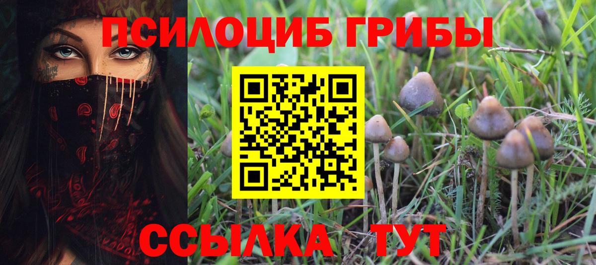 Галлюциногенные грибы Magic Shrooms Городец