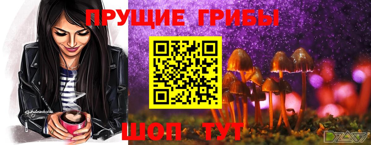 Псилоцибиновые грибы GOLDEN TEACHER Городец