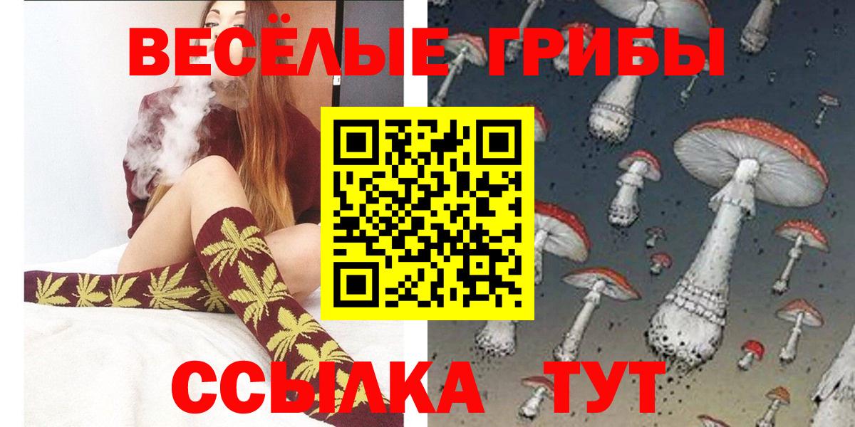 Городец  Псилоцибиновые грибы GOLDEN TEACHER  Вход с VPN  Псилоцибиновые грибы ЛСД 
